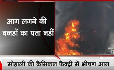 मोहाली - कैमिकल फैक्ट्री में भीषण आग, सब कुछ जलकर हुआ राख, देखें वीडियो