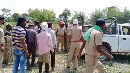 बहराइच: ग्रामीणों ने घेराबंदी कर दो तेंदुओं को पीट-पीटक मार डाला, किसान पर हमले से गुस्साए थे