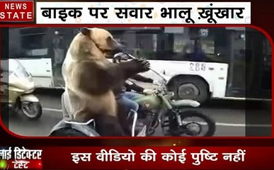 Lie Detector Test: बाइक पर बैठा भालू कराने लगा फोटोशूट, देखें वीडियो