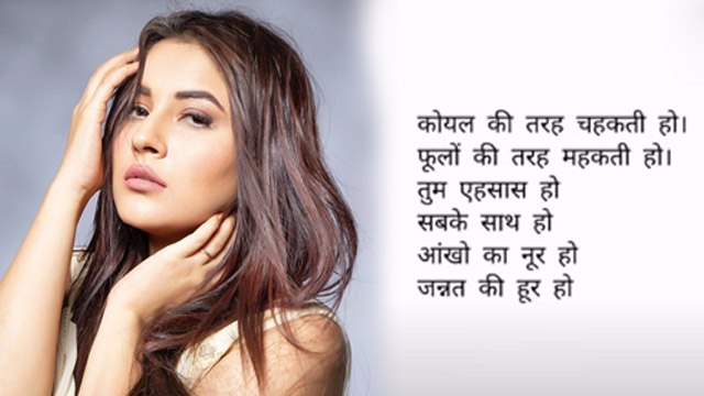 Shehnaaz Gill के fan ने शहनाज़ पर लिखी ये खूबसूरत Poem, सुनकर भावुक हो जाएंगे |FilmiBeat