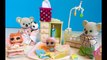 CALICO CRITTERS Toys Nursery Preschool Babies LOL Lil Sister Dolls Daycare