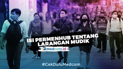 Ini Isi Permenhub Tentang Larangan Mudik