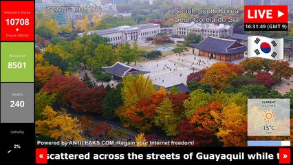 Live Cam 4/24/2020 12:47 AM PDT