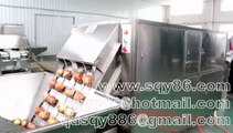 Turkish Large Productivity of Onion Peeling and Root Cutting Processing Line