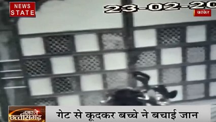 Chhattisgarh: कांकेर में भालू ने किया बच्चों पर हमला, एक गेट से कूदा, दूसरे से भागकर बचाई जान