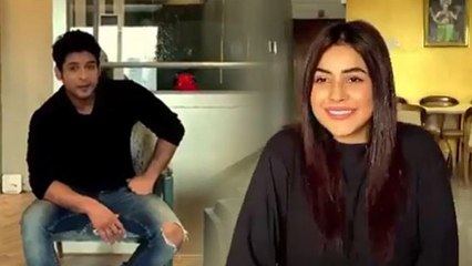 Shehnaz Gill और Siddharth Shukla ने lockdown में की एक दूसरे से मुलाकात | FilmiBeat