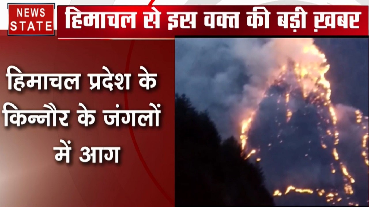 हिमाचल प्रदेश के किन्नौर के चौरा इलाके के जंगलों में लगी भीषण आग