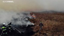 Forstexperten: Sorge um frühe Waldbrände
