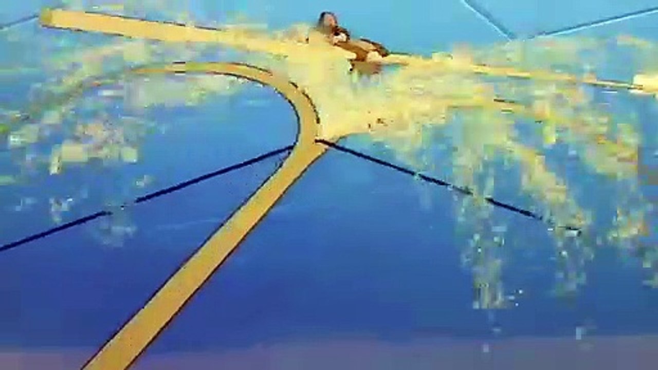 tom and jerry