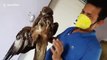 Rescuer releases eagle after nursing it back to health in northeast India