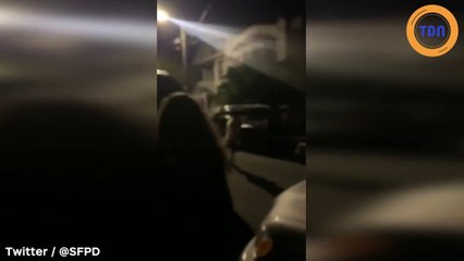 Les retrouvailles entre ce chien volé et sa propriétaire vont vous faire fondre en larmes !