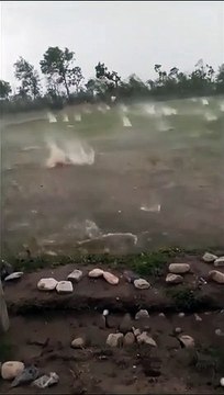 Cette pluie de grêle est tellement puissante qu’elle détruit la rizière
