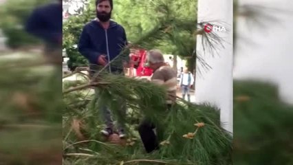 Antalya'da sitede ağaç kesim gerginliği