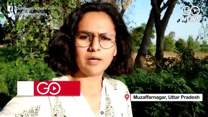 लॉकडाउन: शहरों में फसल कटाई के लिए मज़दूर नहीं लेकिन गांवों में मज़दूरी घटी