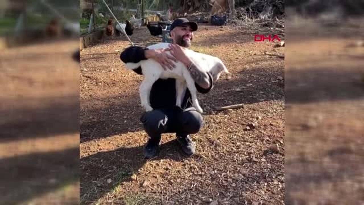 MUĞLA Şarkıcı Tan Taşçı Bodrum'daki evinde izole oldu