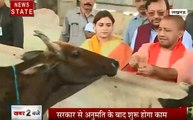 Uttar Pradesh: यूपी में Cow सफारी बनाएगी सरकार, देखें लक्ष्मी नारायण चौधरी का Exclusive Interview
