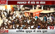 Lucknow: धार्मिक जुलूस में आवारा सांड का तांडव, दर्जनों लोग घायल, देखें वीडियो