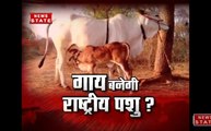 सबसे बड़ा मुद्दा: क्या गाय बनेगी राष्ट्रीय पशु?