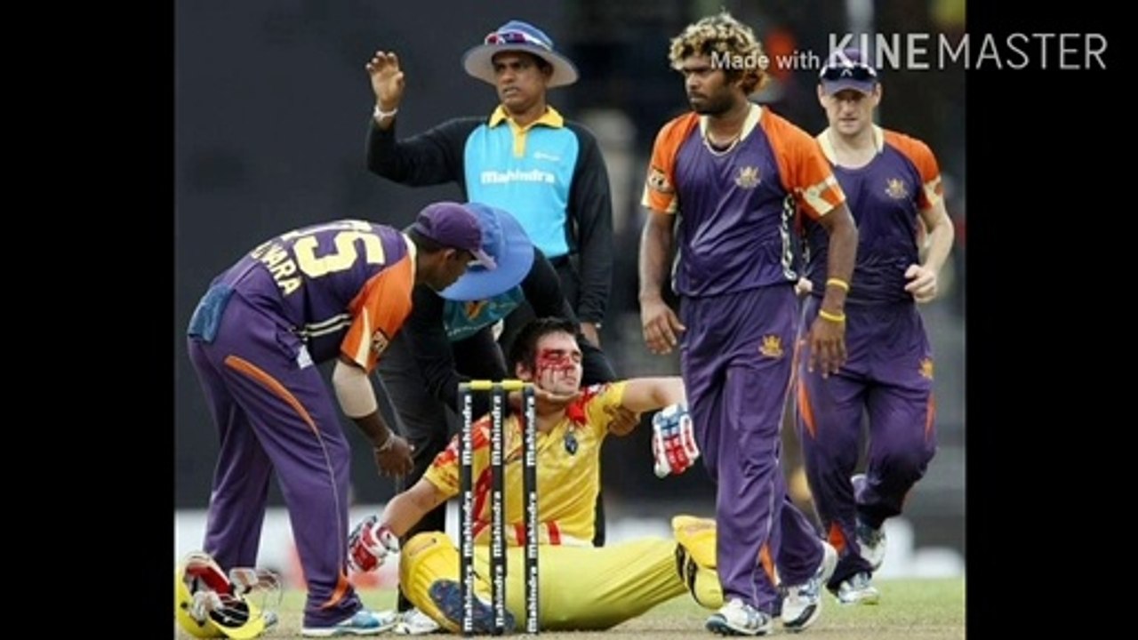 Most dangerous cricket deaths on ground| death| cricket  watch now