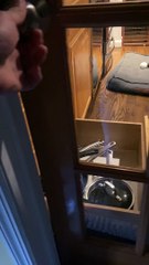 Doggy Locks Door With Open Drawer