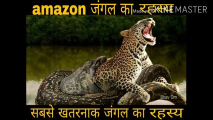 अमेजॉन जंगल के यह 8 रहस्य आज वैज्ञानिक नहीं सुलझा पाए ? Secrets Of The Amazon Jungle.