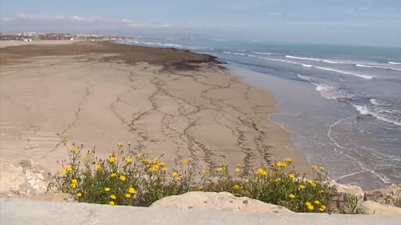 El sector turístico propone medidas para una reapertura segura