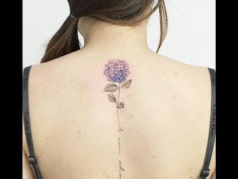 양재동반영구 천사나라.com 뷰티 온라인마케팅. 바이럴마케팅. 홍보. 광고 상담 환영