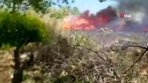 İznik'te sazlık alanın alev alev yandığı anlar kamerada