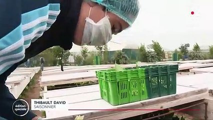 1er mai : les producteurs de muguet inquiets