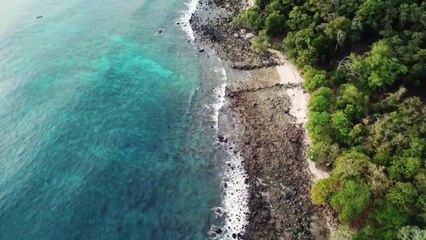 Who Says You Can't? | New Motivational Video 2020 | Inspirational Video|