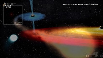 A Star Has Survived a Near-Death Encounter with a Black Hole