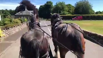 Hay Farm Heavy Horse Centre Hit Hard by rules