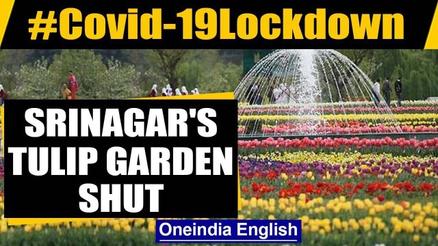 Srinagar: Asia's famous tulip garden closed for visitors amid Covid-19 Lockdown | Oneindia News