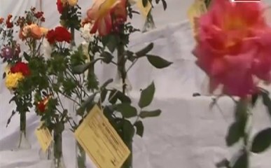 भोपाल में लगी गुलाब की सबसे बड़ी प्रदर्शनी