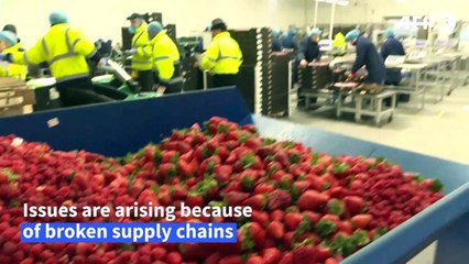 Is a food crisis looming?