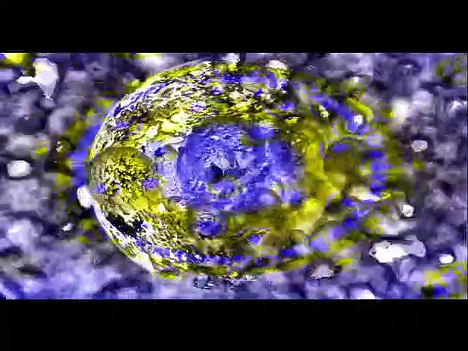 coronavirus 3