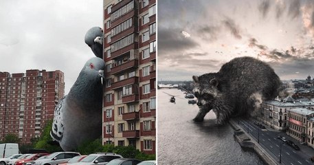 Ce photographe met scène des animaux géants qui règnent dans des décors urbains