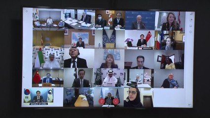 G20 관광장관, '필수 여행에 대한 과도한 방해 최소화' 합의 / YTN