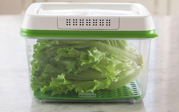 Smart Tools for Keeping Food Fresh for Longer