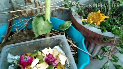 घर पर composकैसे बनाये।।How to make compost from kitchen waste
