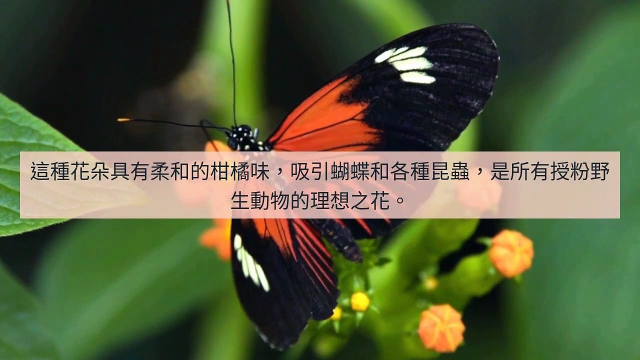 www.teepr.com-copy4-20200425-01:41