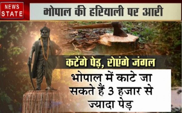 भोपाल की हरियाली को लगी किसकी नजर, पिछले 10 सालों में क्यों काटे गए 40 फीसदी पेड़