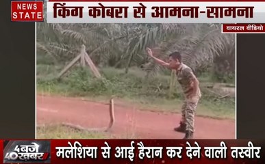जवान कैसे किंग कोबरा से खेल रहा है, देखिए ये हैरान कर देने वाला VIDEO