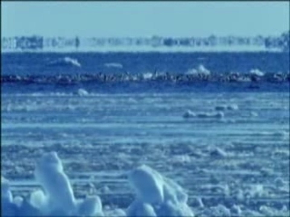 Vox Angeli - Paradis Blanc