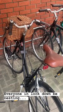 Lady Discovers a Bird Nested in her Bike Basket