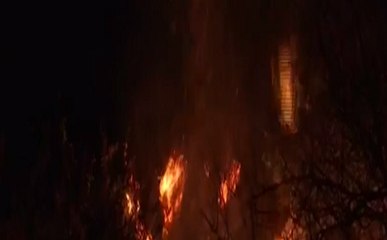 जम्मू: त्रिकुटा के जंगलों में लगी आग, 25,000 तीर्थयात्री फंसे