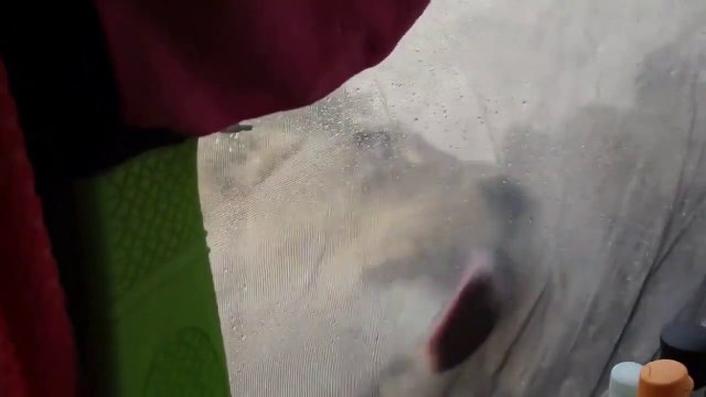 Ces campeurs vivent le réveil le plus terrifiant qui soit