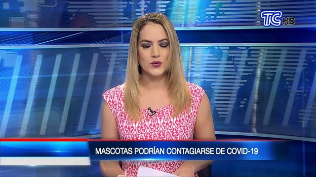 Mascotas podrían contagiarse de coronavirus ¿Cómo prevenirlo?