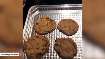 Look At Chocolate Chip Cookies Snoop Dogg Baked During Quarantine
