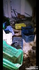 رعب حقيقي لا تنظر في المرأة كثيرا فربما تحمل لك خبر نهايتك مغامره مرعبه يغضب الجن ويفجر الزجاج